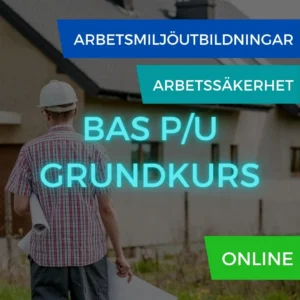 BAS P/U online