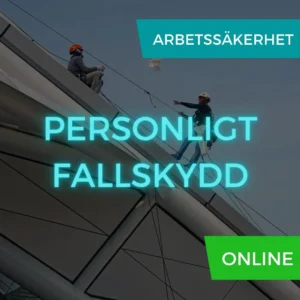 Fallskydd online